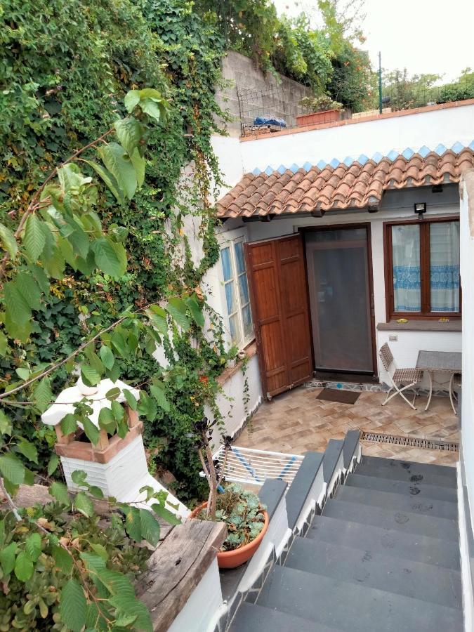 Апартаменты Casa Rustica Доргали Экстерьер фото